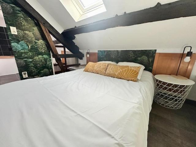 דירות Petit T2 Duplex Centre Orleans Au Calme מראה חיצוני תמונה